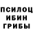 Галлюциногенные грибы Cubensis kandhan karunai
