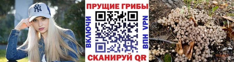 блэк спрут ONION  Завитинск  Галлюциногенные грибы Magic Shrooms 